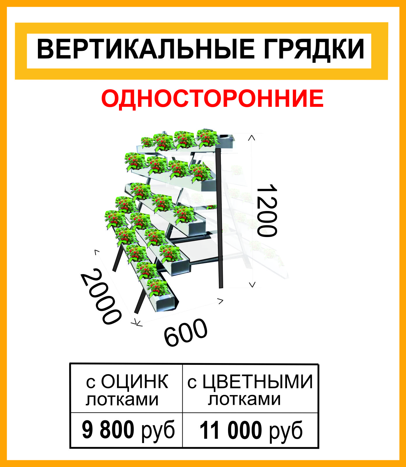 Безымянный-1