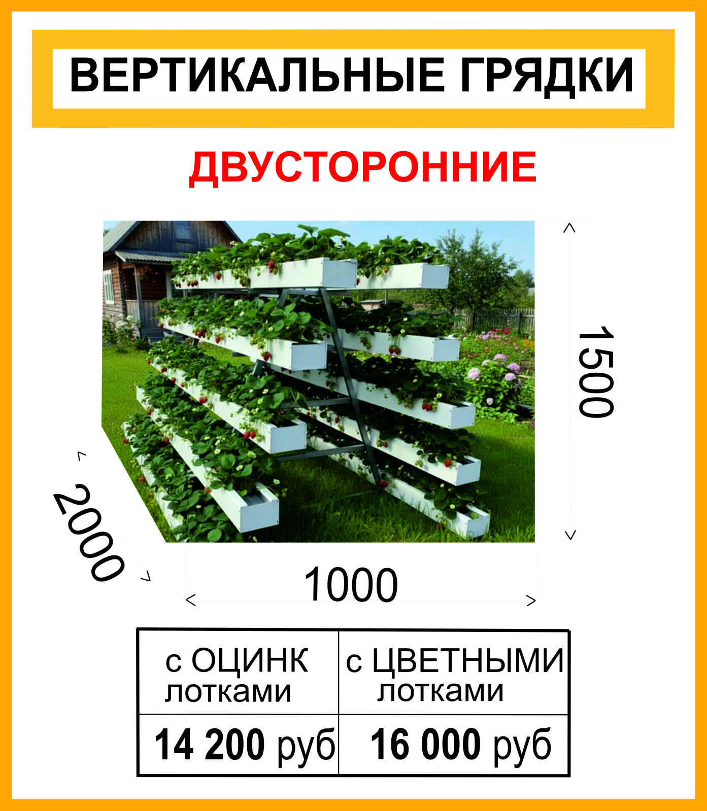 Безымянный-1